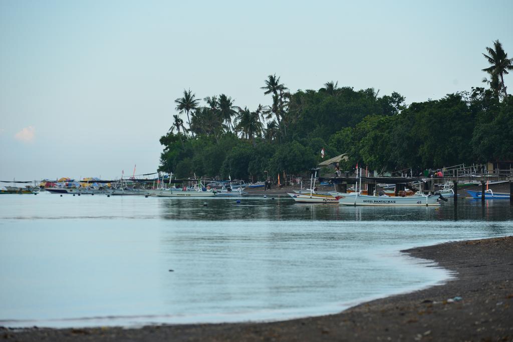 Funky Place Lovina Beach Extérieur photo